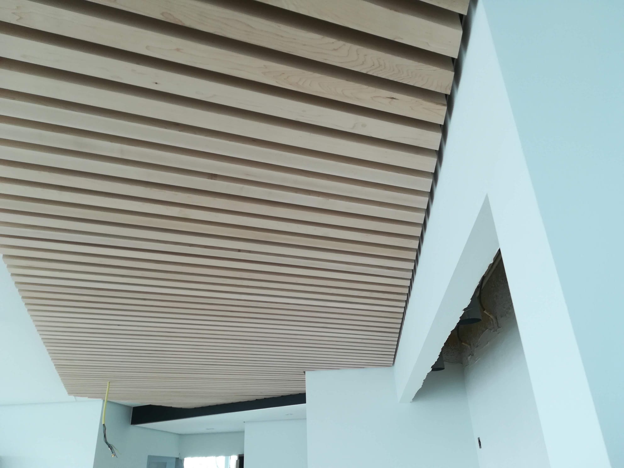 Stalen Deuren & Latten Plafond · tijdens