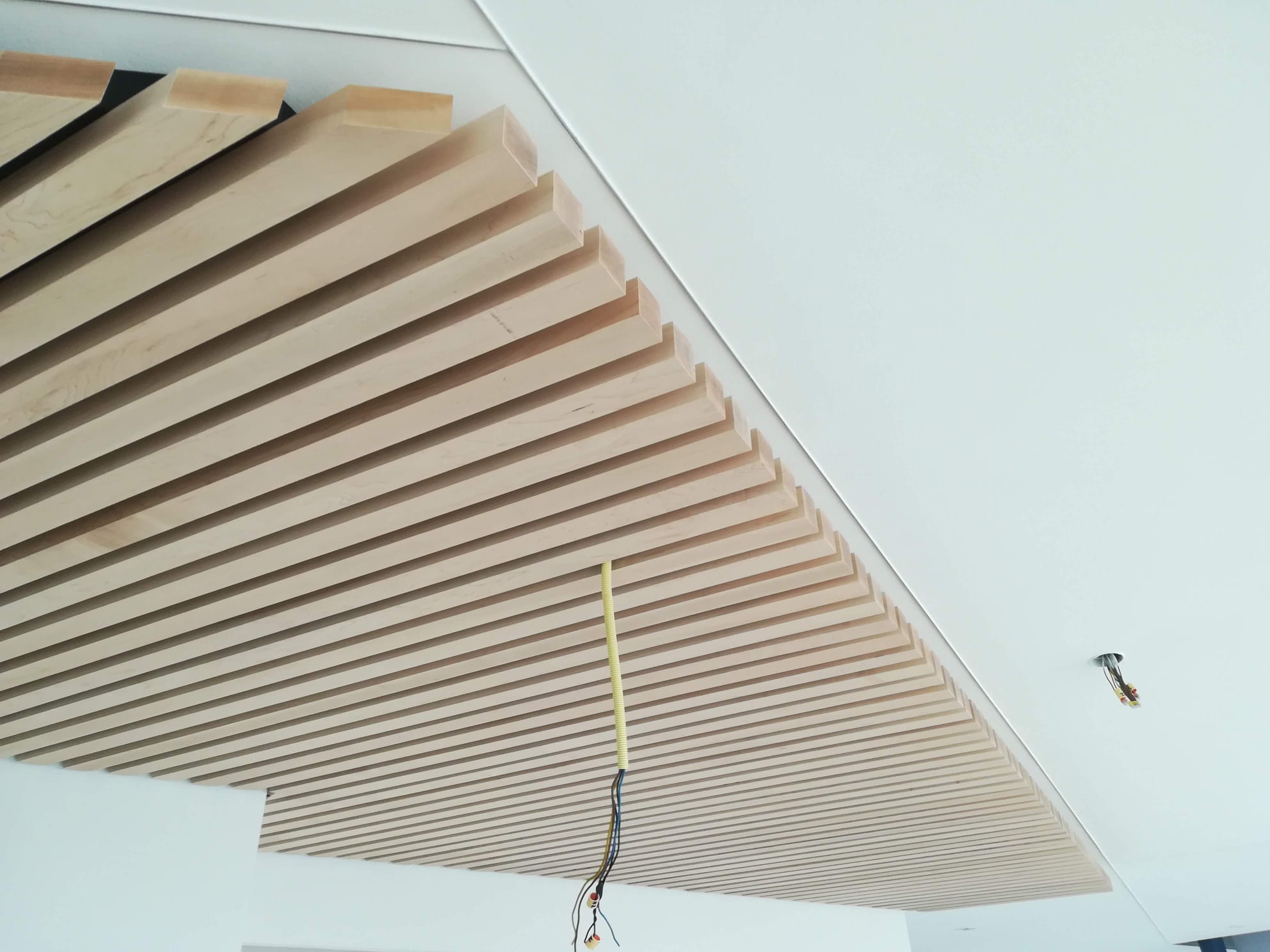 Stalen Deuren & Latten Plafond · tijdens