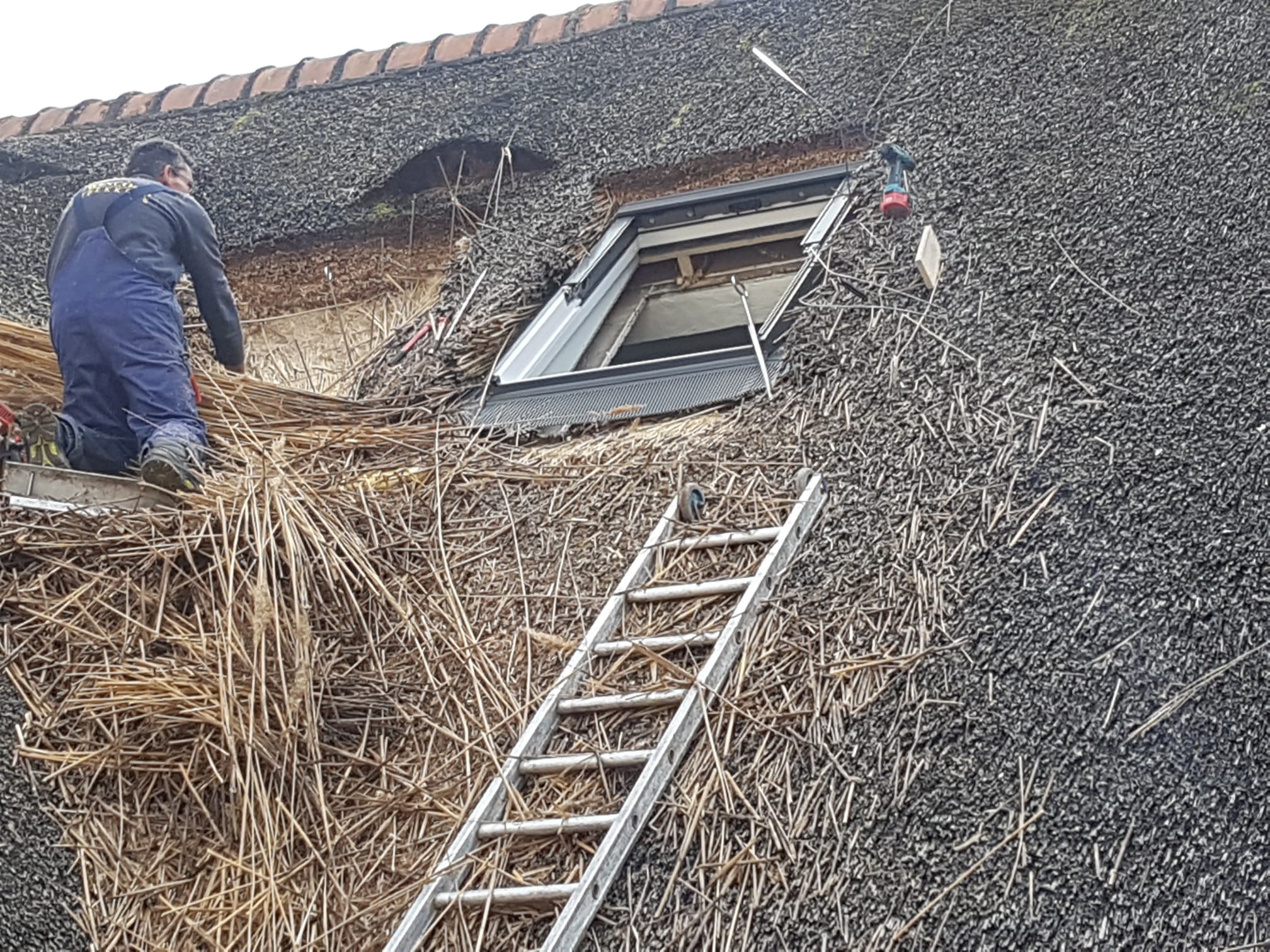 Rietgedekt Dak met Dakramen · tijdens
