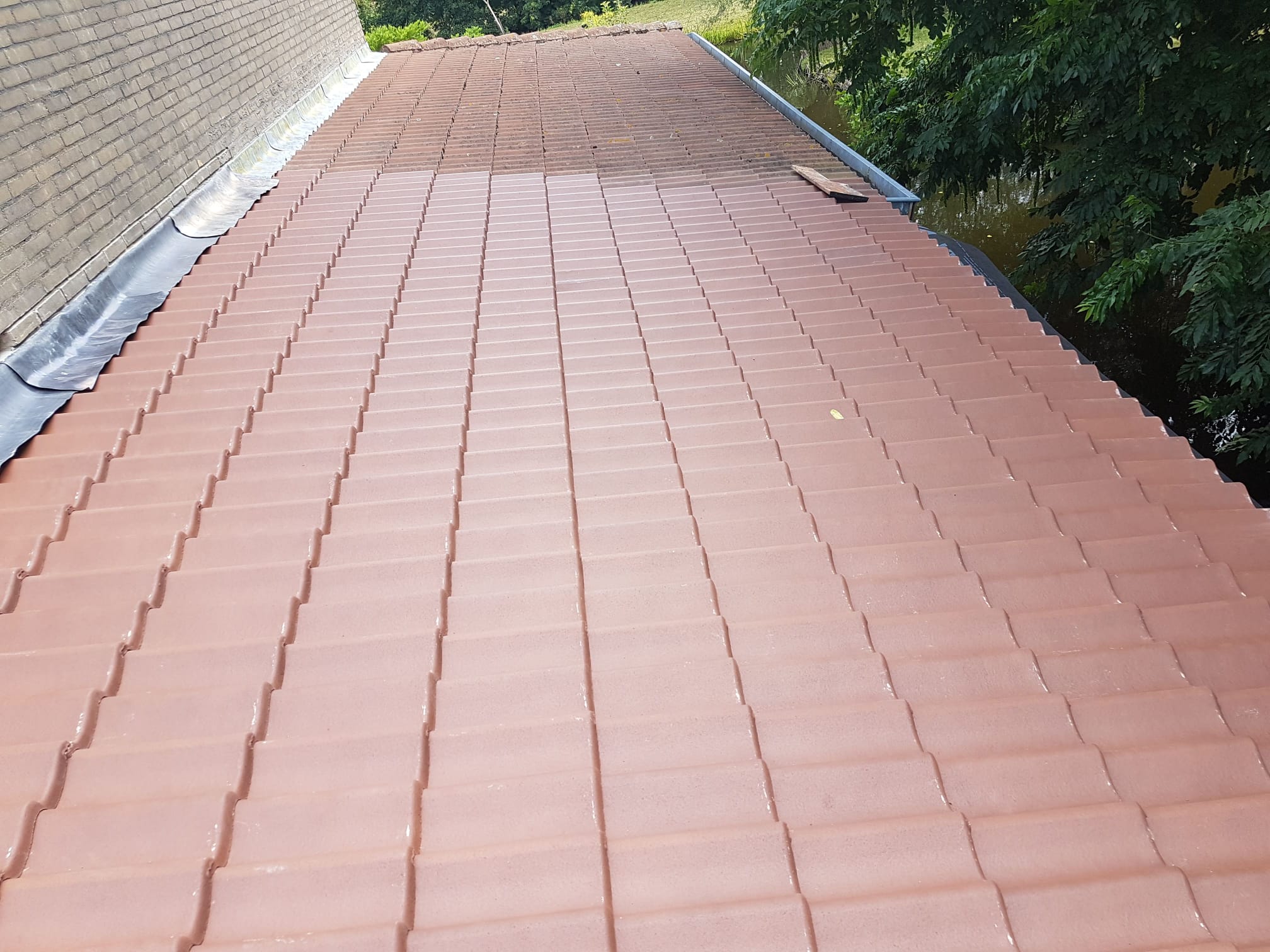 Dakwerk & Renovatie · tijdens